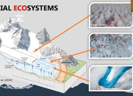 Glacial Ecosystems (Weisleitner, K)